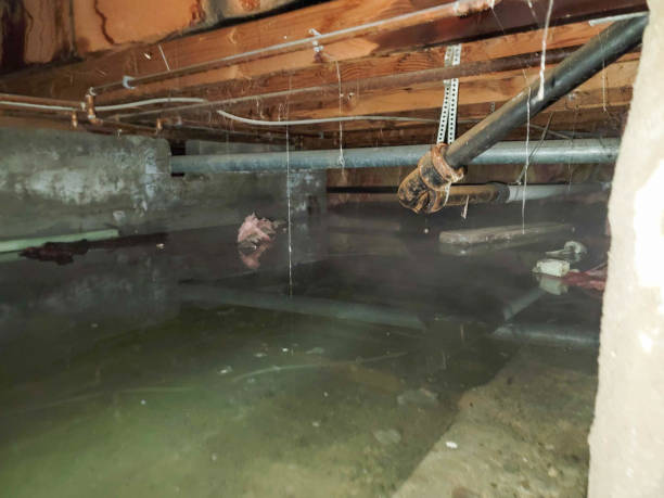 Best Basement water damage restoration  in Fountainhead Orchard Hills, MD