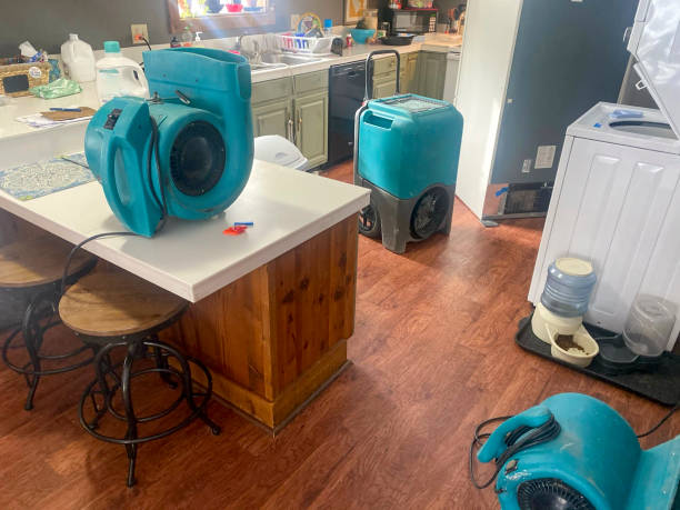 Best Commercial water damage restoration  in Fountainhead Orchard Hills, MD