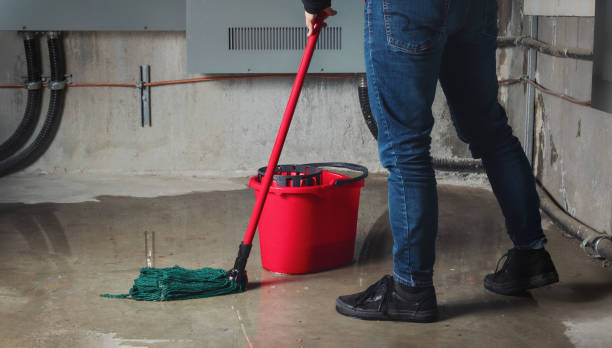  Fountainhead Orchard Hills, MD Water damage restoration Pros