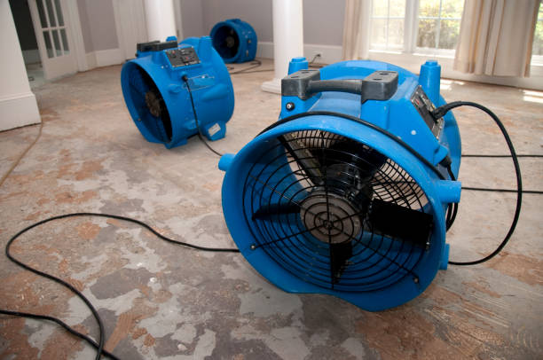 Best Water damage restoration specialists  in Fountainhead Orchard Hills, MD