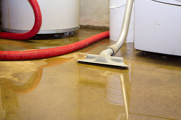 Best Sewage cleanup and water damage restoration  in Fountainhead Orchard Hills, MD