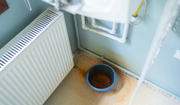 Best Flood damage cleanup  in Fountainhead Orchard Hills, MD