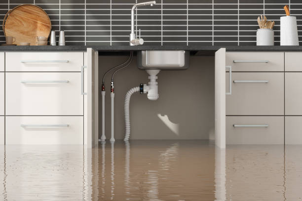 Best Basement water damage restoration  in Fountainhead Orchard Hills, MD