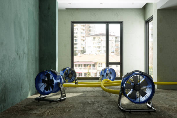 Best Mold removal after water damage  in Fountainhead Orchard Hills, MD