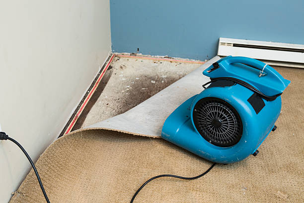 Best Emergency water damage restoration  in Fountainhead Orchard Hills, MD